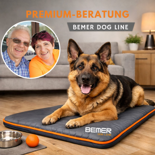 BEMER Partnerin 500x500.png