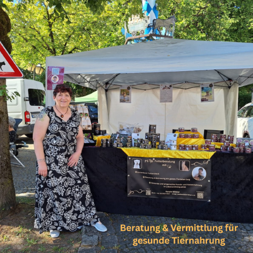 Bild 1 neu Beratung .png